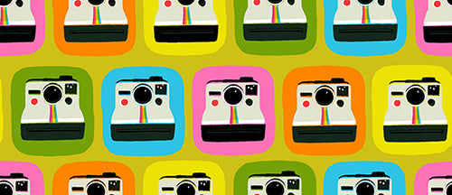 Sunshine Inn Polaroid Multi by Lysa Flower for Paintbrush Studio